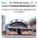 월화공원(부흥마을) | [강릉여행] 월화거리의 과거와 현재 모습(25.5.17.)