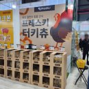 짝궁펫 | 2025 케이펫페어 세텍 토요일 관람후기 및 주차정보