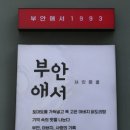 사거리 맛집 추천!! 남녀노소 누구나 좋아하는 퓨전한식~ 부안애서 서초점 방문후기~ 주차 가능한 식당!