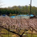 문촌3리 이미지