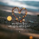 빛중앙14로 이미지