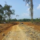 꼬꼬농장 이미지