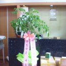 우림약품 이미지