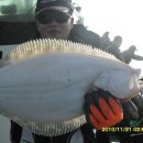 갈매기1호 이미지