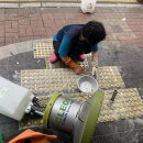 광명식당 이미지