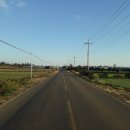 신도리-8 이미지