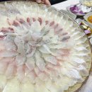 아바이횟집 | 속초 청초호 횟집 로컬 맛집 춘길호 아바이활어회센터 자연산 모듬회 후기