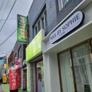 엘샤론코리아 이미지