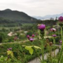 운호마을 이미지