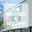 세화로134번길 | 수원시] 메쎄 코베 베이비페어&amp;유아교육전 방문 후기(+주차정보(주차꿀팁), 사은품정보, 단비사진관...