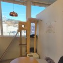 미어켓파크 | 혜화역 대학로 아이랑 가볼만한 곳 미어캣파크 이색 체험 동물카페