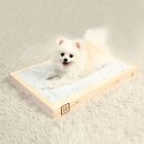 COCOPET(코코펫) 네이버블로그