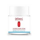 주식회사씨엠에스랩 이미지