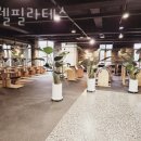 더웰필라테스