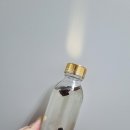 팍사레트 이미지