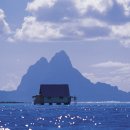 푸른감(푸른感) 이미지