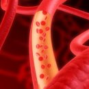 오해일여성의원 이미지