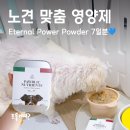 기가파워 | 노령견영양제, 15살 말티즈 멍꿀이의 건강한 변화 이터널 파워 파우더 솔직 후기
