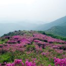 산막마을회관 이미지