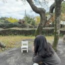 김영갑갤러리두모악미술관 이미지