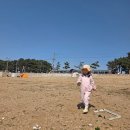 고잔길 | [화성 가볼만한곳] 아이와 함께한 궁평항 갯벌체험 &amp; 먹거리 장터 (주차 꿀팁, 낙조길)