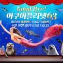 아쿠아 이미지