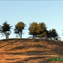 이신의선생묘 및 신도비 이미지