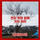 동막동(4) | 고목 큰나무 벌목 가지치기 전지작업 업체