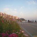 동산샘터 이미지