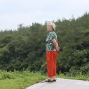 천사대교 관광안내소 | 전남 가볼만한곳 신안 천사대교 관광안내소