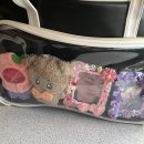 (주)레이니데이즈 | 아미 9년차 케이팝 덕질 13년차... 드디어 사녹이란 걸 가다