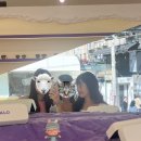 알로안경 가로수길점 이미지