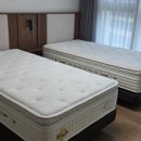 디자인에이스