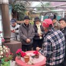 초당화원
