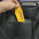 대신자연에너지 | 코코랩에너지젤 후기｜올리브영에너지젤 추천｜직장인에너지 충전템