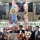 대전충남양돈농협 포크빌 축산물공판장 | 한우 한 마리 최종 경락가 6224만원 기록