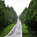 정석목장 이미지