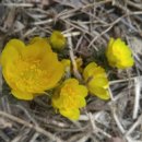 순일농장 이미지