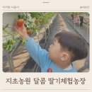 수원농장 | 경기도 딸기체험 용인 화성 동탄 수원 근처 달콤 딸기 체험농장 가격 후기