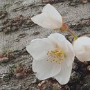 미르부동산공인중개사사무소 이미지