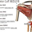 척바른병원 이미지