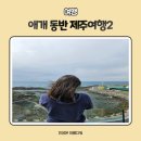 애개애개 | 애개 제주 여행 day2 - 금오름, 금악퐁낭국수, 꿀봉, 카페 비에노즈