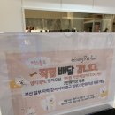 멍스월드 | 부산명지: 강아지 수제간식 원데이 클래스는 ‘멍스월드’