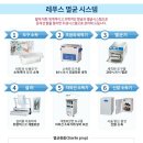 레푸스청라점 이미지