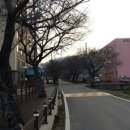 군서5일시장 이미지