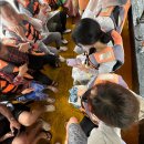 반딧불 | 코타키나발루 봉가완 반딧불투어 리보투어 후기 뚜아이 나나문 비교