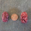 초리상회 이미지