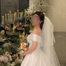 프시케 | 프시케스냅 본식 아이폰스냅 후기 빈티지스냅 내돈내산 정말 후회없는 선택