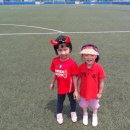 공설운동장 축구장 이미지