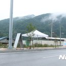 단양공설정구장 이미지